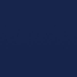 Meet your Posher, Amiya